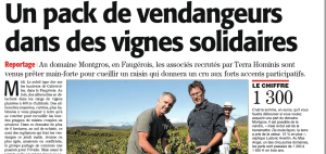 Article Midi Libre créateur de vignobles réunit des associés autour des vendanges