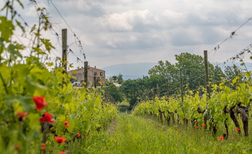 Domaine GAYDA
