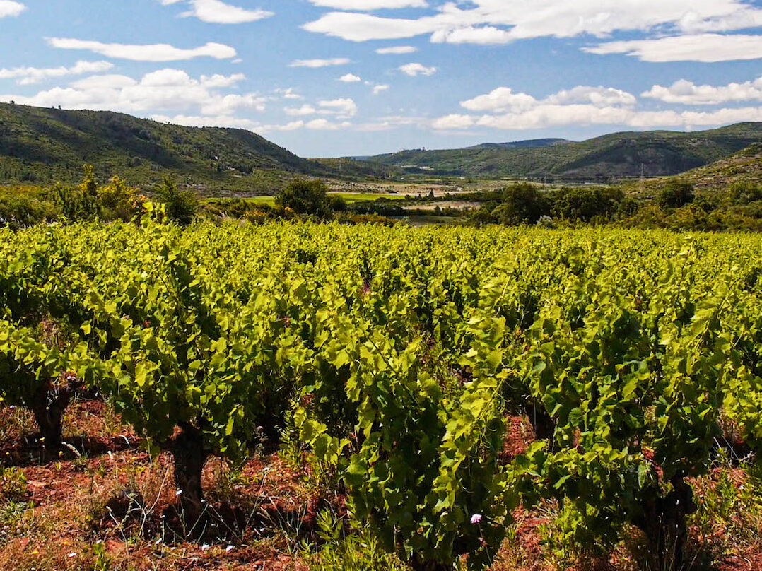 clos-rouge