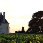 chateau-la-bonneliere