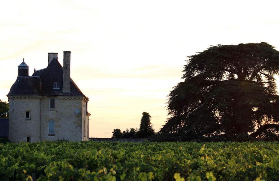 chateau-la-bonneliere