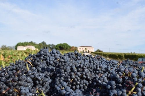 Château le camplat Marion Reculet