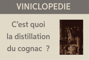 viniclopedie cognac
