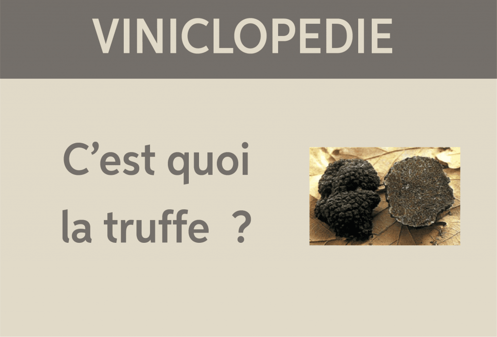 viniclopedie truffe