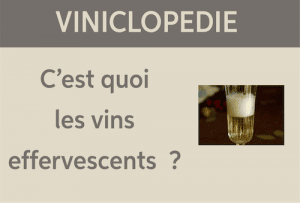 viniclopedie vins effesents
