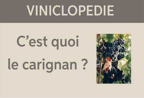 viniclopedie carignan