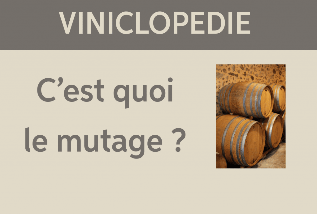 viniclopedie mutage