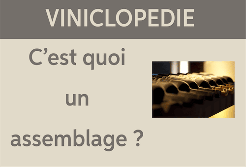 viniclopedie un assemblage