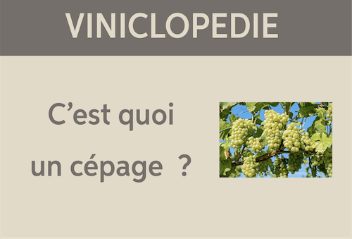 viniclopedie cepage