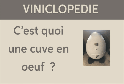 viniclopedie-cuve-oeuf