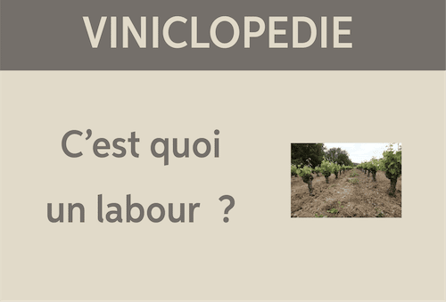 viniclopedie-labour