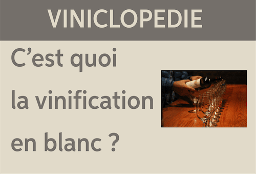 viniclopéedie vinification en blanc