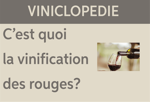 viniclopedie vinification rouge