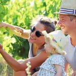 GFV Domaine Obrière Terra Hominis