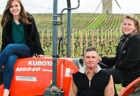 gfv-vignerons-du-chateau-saint-gregoire-aop-medoc