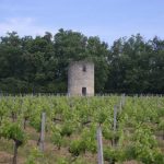 Tour des Graves vignoble