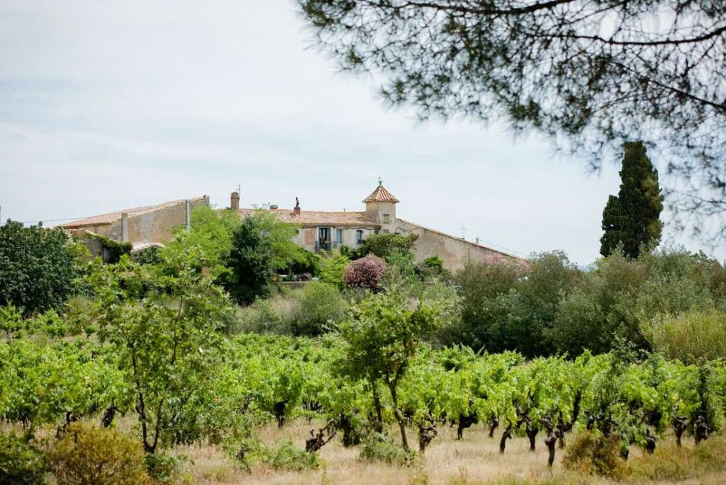 domaine obriere vignoble participatif