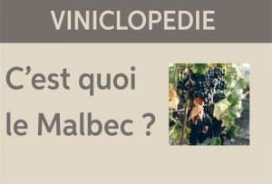 viniclopedie-malbec