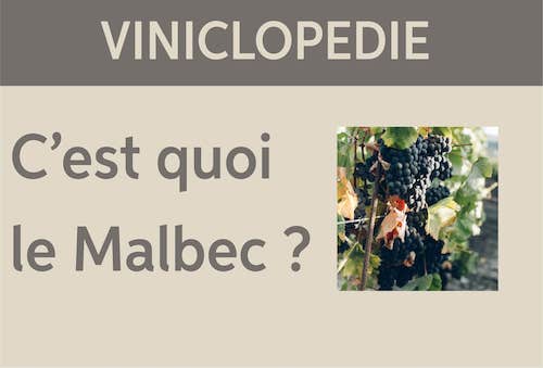 viniclopedie-malbec