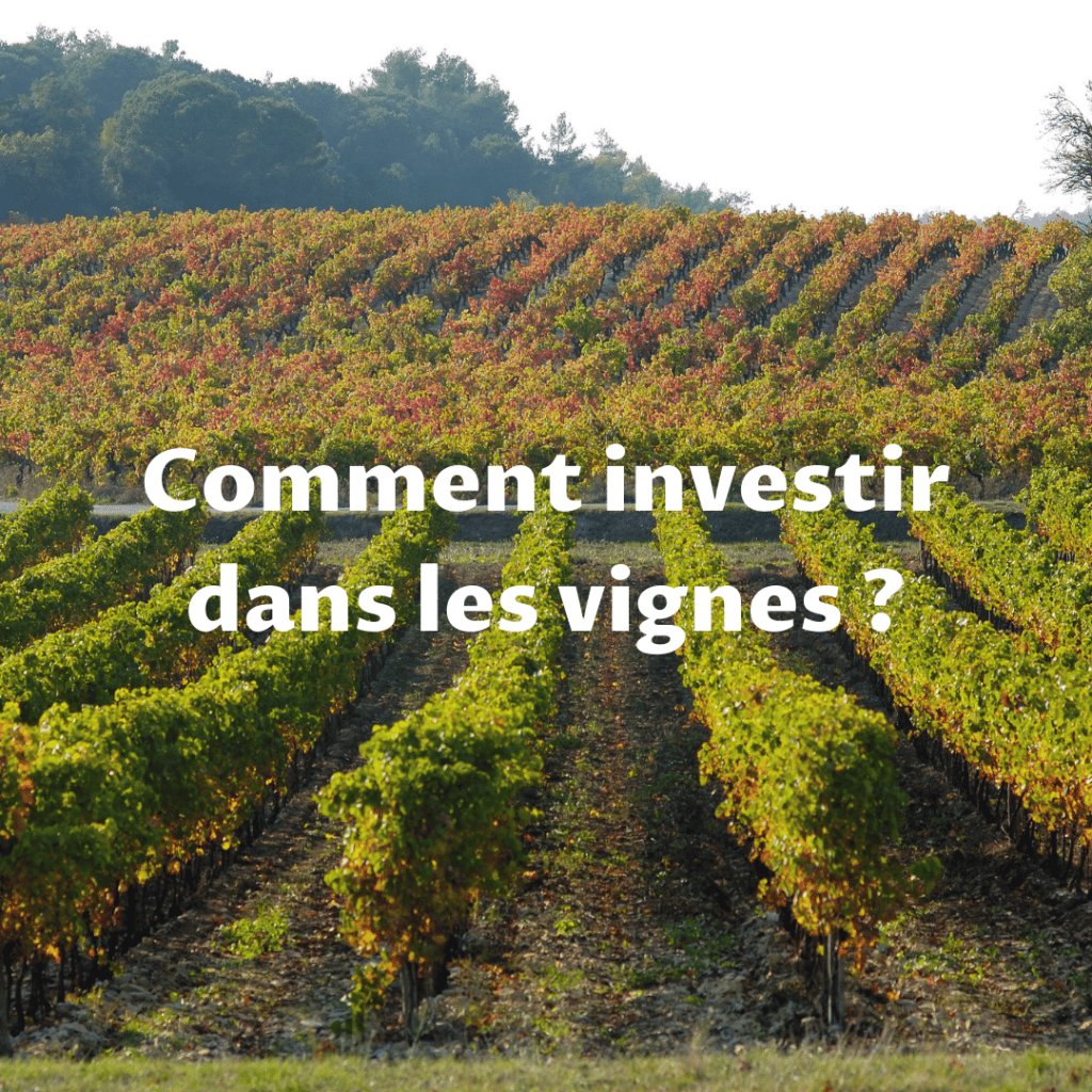 comment-investir-dans-les-vignes