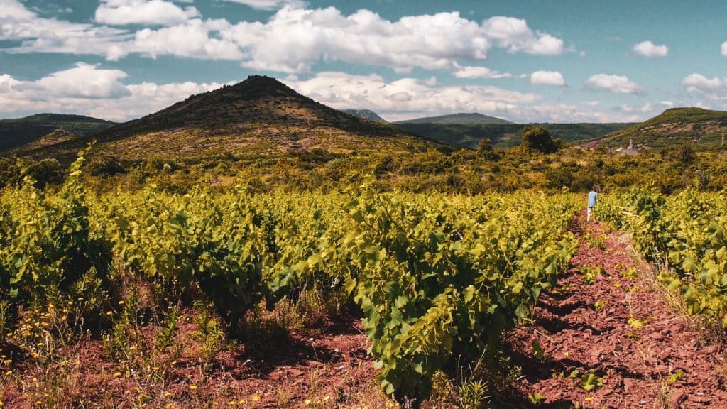 clos-rouge-financement-participatif-viticole