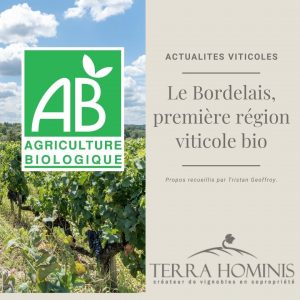 bordelais-premiere-region-viticole-bio