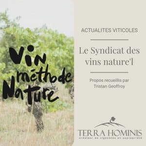 syndicat-vin-naturel-information