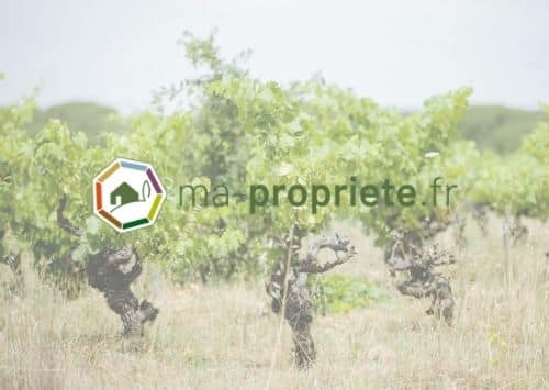 ma-proprietefr-viticole-plateforme