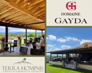 Réouverture- Gayda-restaurant-vin-vignes