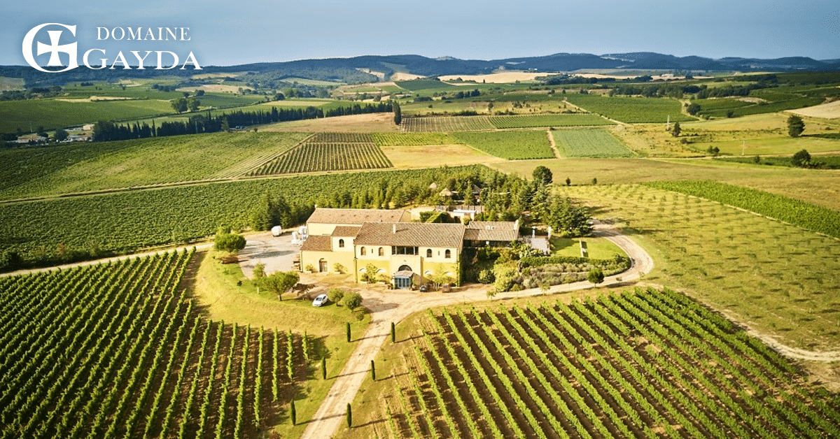 Découvrez Marion Loiodice, ambassadrice du Domaine Gayda