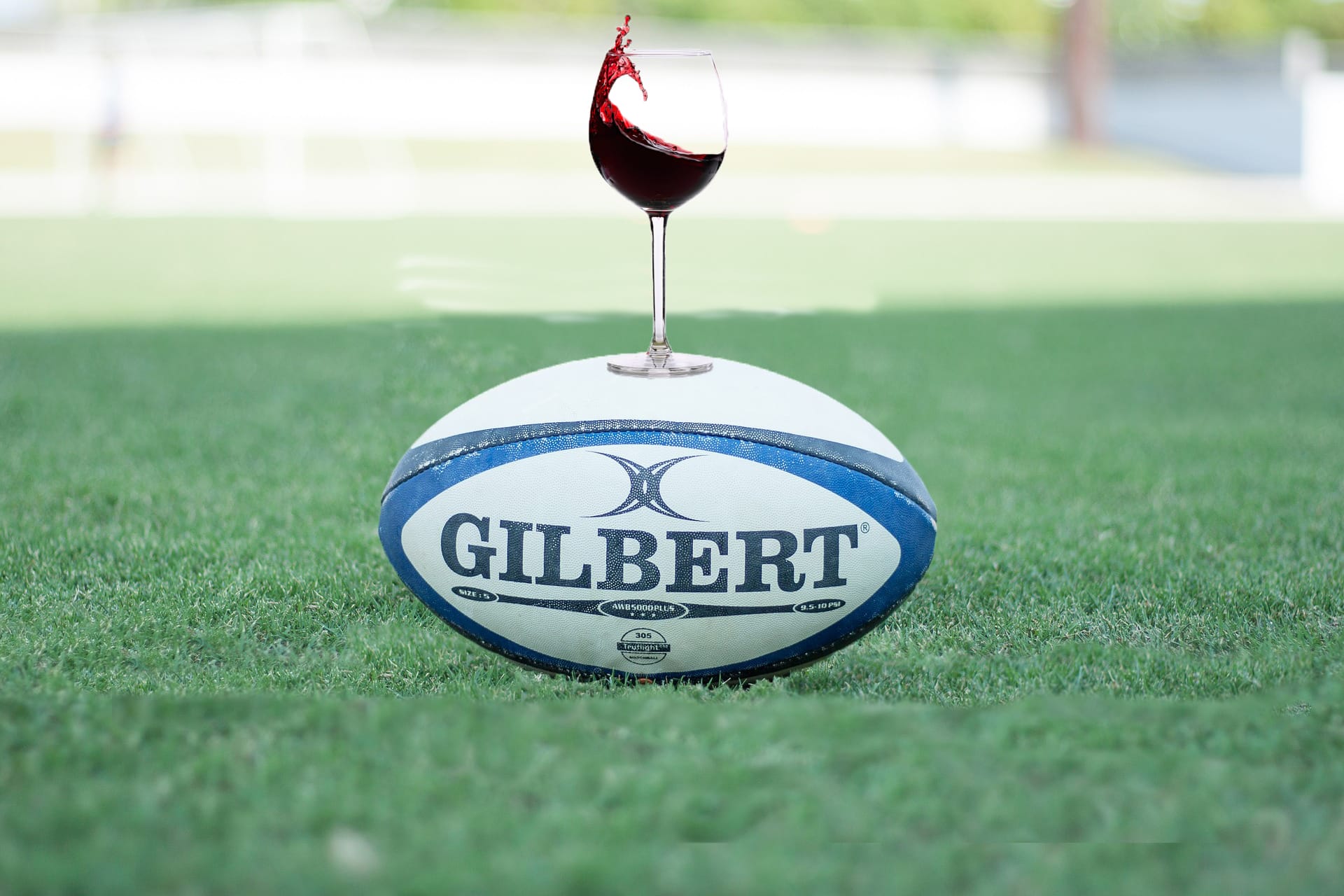 rugby - vin