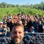 vendanges-gfv-caussarelle