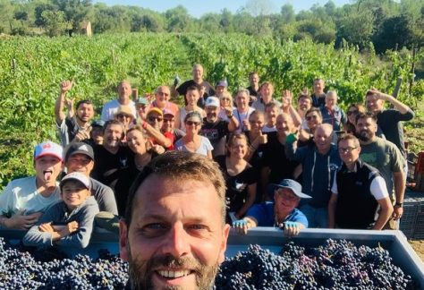 vendanges-gfv-caussarelle