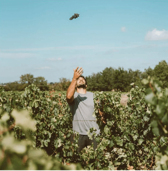 Rémi Lamerat dans son vignoble