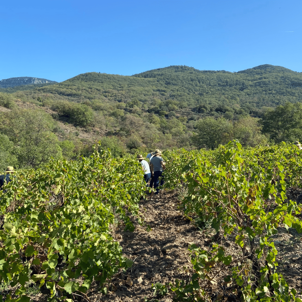 assemblée générale clos rouge