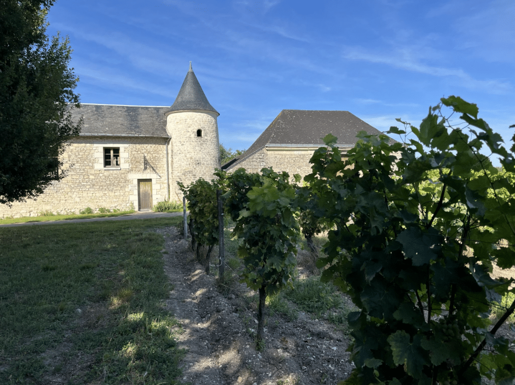 Château La Bonnelière