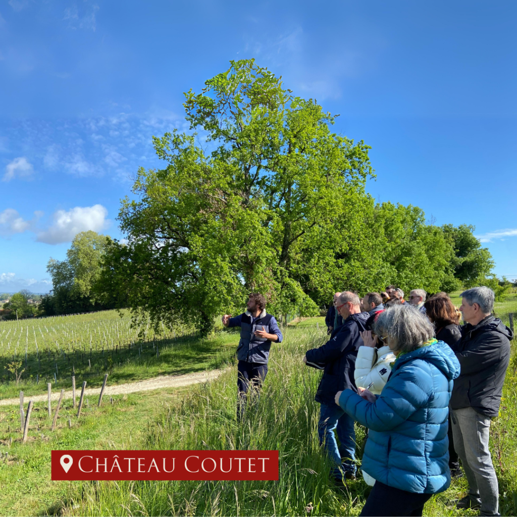 les participants échangeant avec le vigneron du Château Coutet