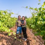 GFV Domaine du Grangeon vignoble