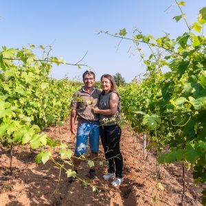 GFV Domaine du Grangeon vignoble