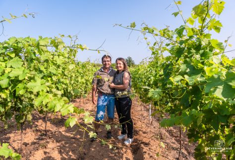 GFV Domaine du Grangeon vignoble