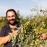 Clos Padulis olivier