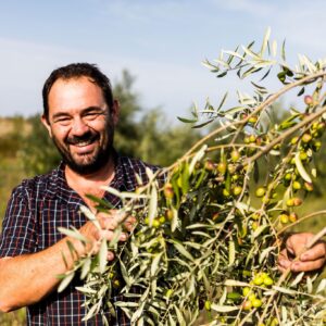 Clos Padulis olivier