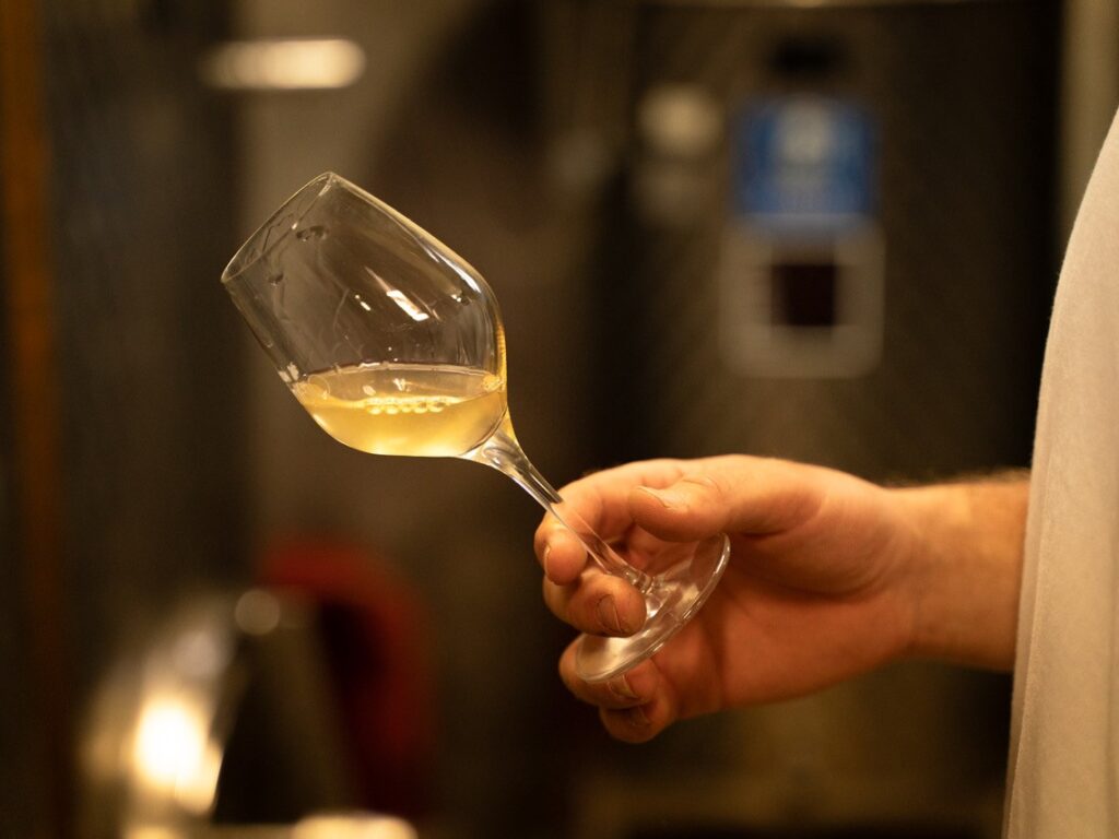 Xavier Guntz vin blanc