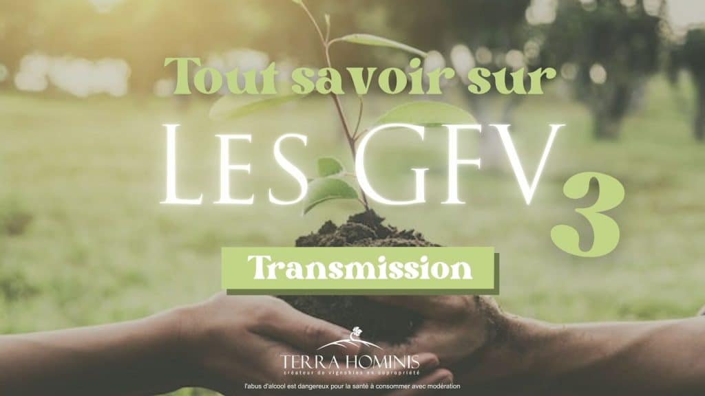 gfv terra hominis transmission