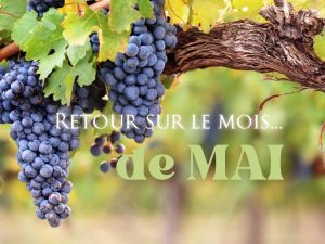 bilan moi de mai