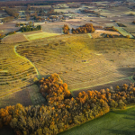 domaine des quarres