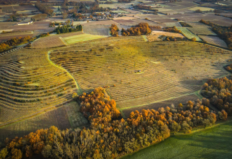 domaine des quarres