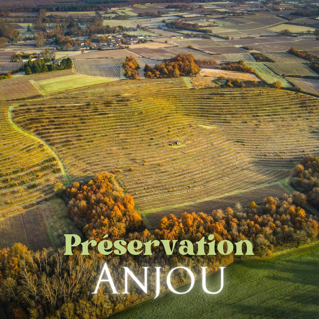 Projets en cours SITE (2)