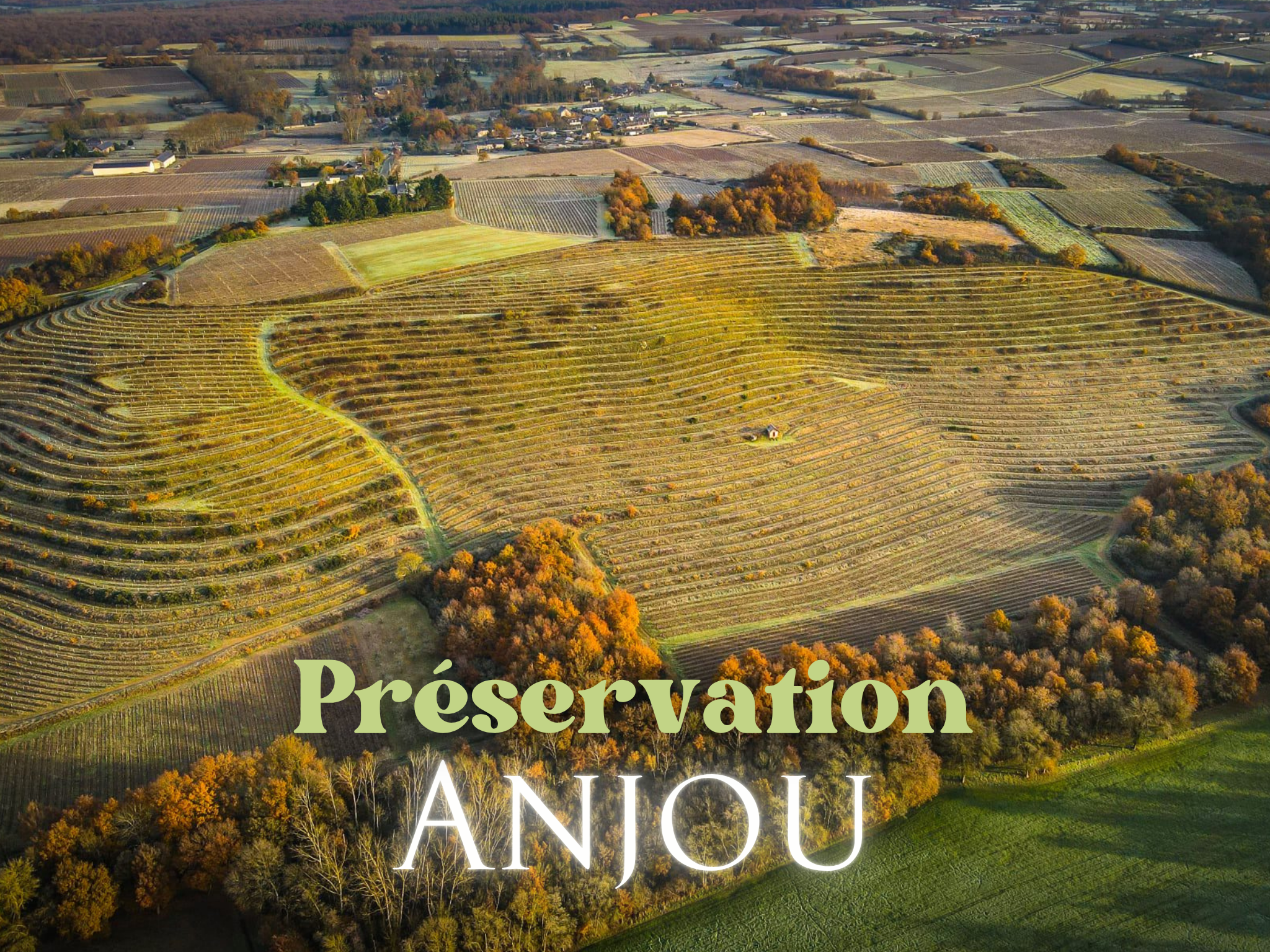 Projets en cours ANJOU