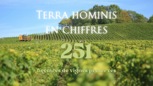 terra hominis en chiffres